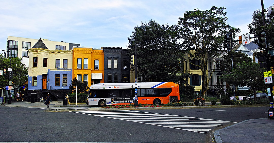 A Metrobus passing a row of colorful rowhouses